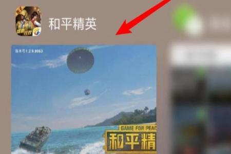 哪些手机自带和平精英辅助(手机自带和平精英按键) 哪些手机自带和平精英辅助(手机自带和平精英按键)